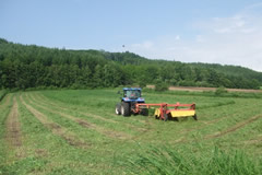 牧草の刈取り作業